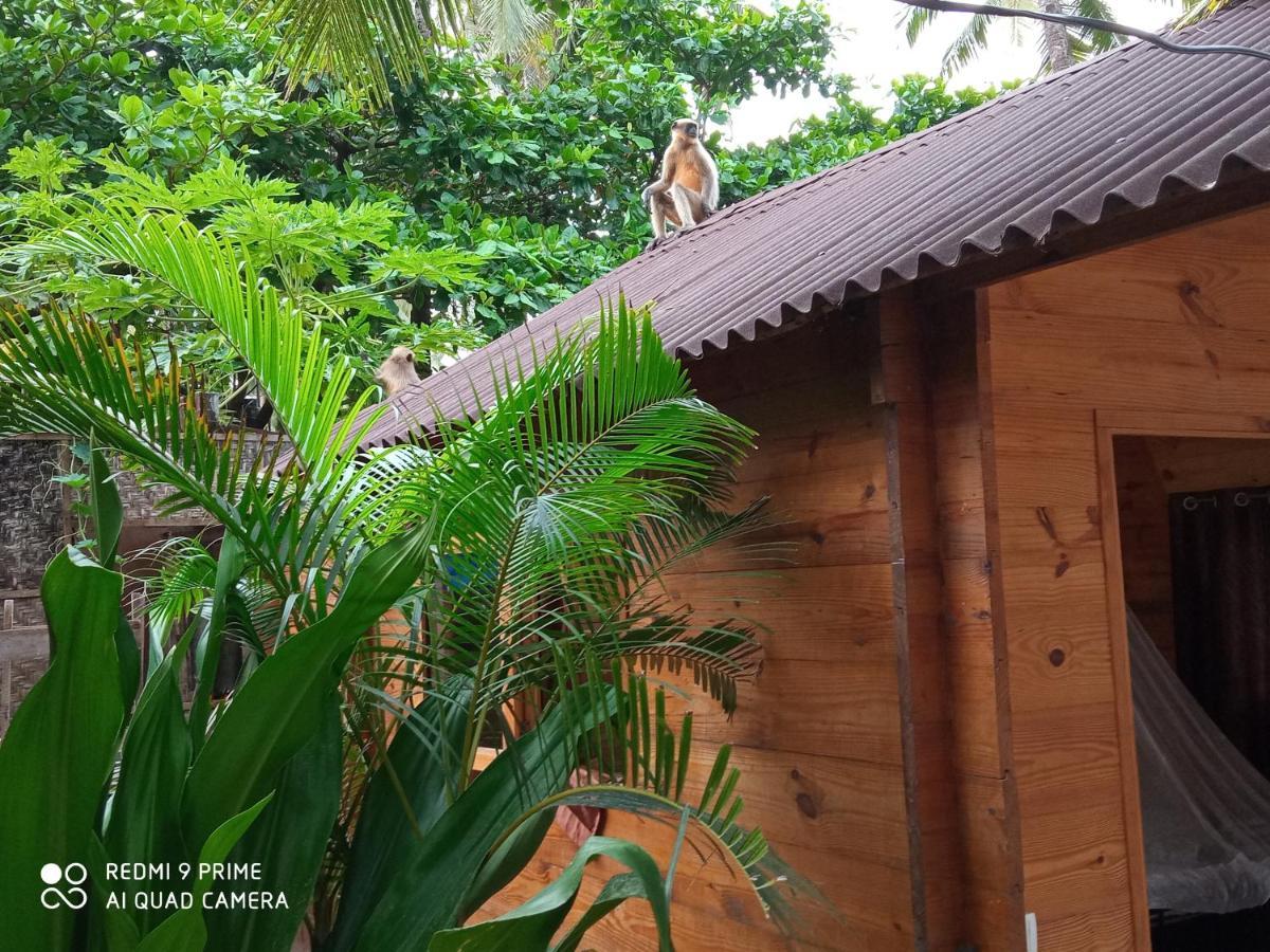 Hotel Magic World Palolem Esterno foto