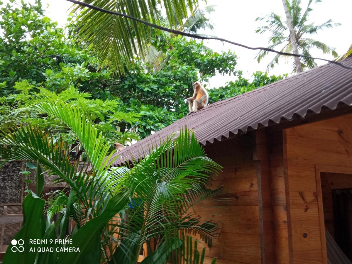 Hotel Magic World Palolem Esterno foto